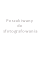 Poszukiwany do sfotografowania: Portret z warkoczem, pastel Stanisława Puchalika